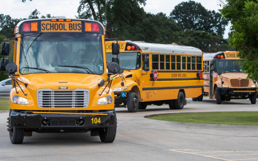 school buses